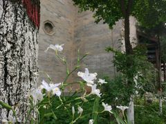 -西安关中民俗艺术博物院