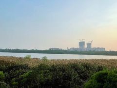-华侨城湿地公园
