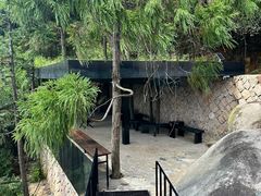 -玉苍山国家森林公园