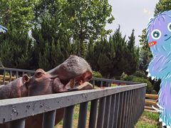 -龙口动植物园