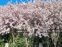 -唐山抗震纪念碑广场