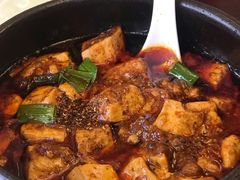 -陈麻婆豆腐总店