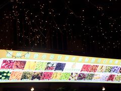 -老炳·七丛松甘草水果