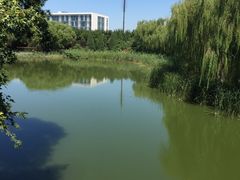 -大兴滨河森林公园