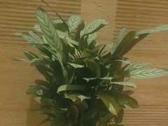 -上海静安铂尔曼酒店