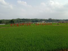 -谷丰健康凤贤居酒家