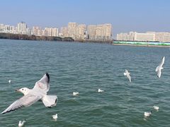 -蠡湖大桥公园