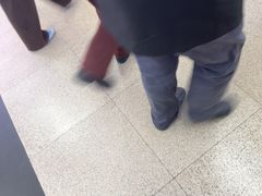 -荷花泰菜(东方新天地店)