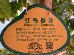-北戴河集发农业梦想王国
