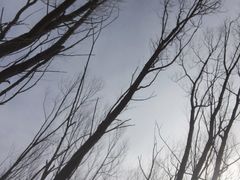 -秦岭风景区