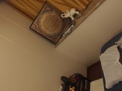 -象遇-泰式.秘术 SPA(先天下店)