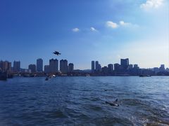 -烟台海昌鲸鲨海洋公园