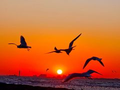 -老虎石海上公园