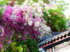 -深圳国际园林花卉博览园