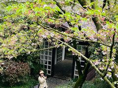 -中国茶叶博物馆(双峰馆区)