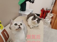 -荔康动物医院(康王北路店)