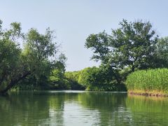 -西溪国家湿地公园