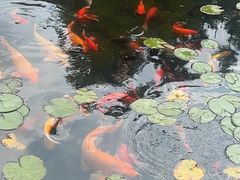 -白马涧龙池景区