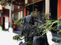 -朱家花园