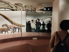 -自贡恐龙博物馆