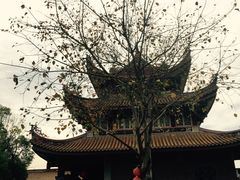 -仙岳公园