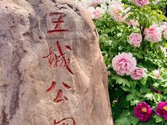 -老雒阳面馆·水席(王城路店)