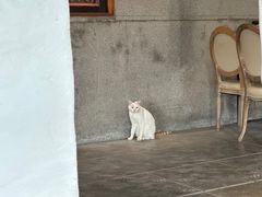 -喜洲吧·江畔老船厂·庭院餐厅(喜临院店)
