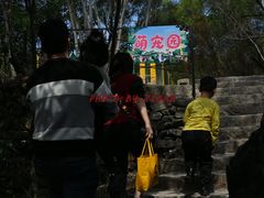 -清境桃源