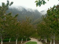 -萝卜寨羌文化生态旅游区