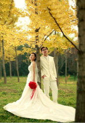 -金公主精品婚纱摄影