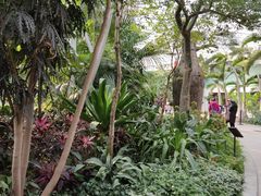 -北京植物园-展览温室