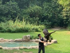 -新加坡飞禽公园