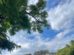 -遵义会议纪念馆