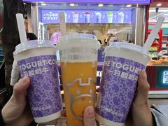 -一只酸奶牛(八一路店)