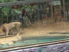 -清迈夜间动物园