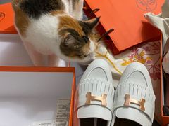 -HERMES(恒隆广场店)