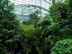 -南山植物园
