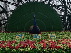 -呀路古热带植物园
