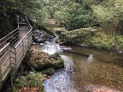 -龙苍沟森林公园