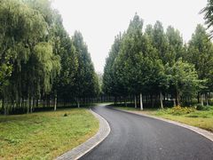 -东郊湿地公园