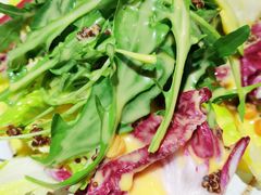 果蔬沙拉-青年公社烤鸭(青年路店)