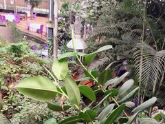 -九尊食上(生态园林酒店)