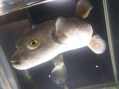 -邯郸海洋世界