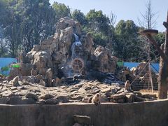 -合肥野生动物园