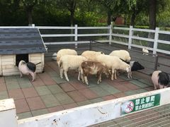 -齐齐哈尔龙沙动植物园