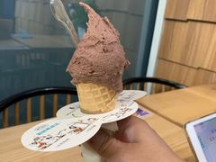 -野人先生现做冰淇淋(北京顺义祥云小镇店)