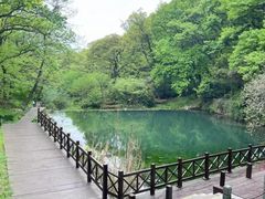 -句容茅山景区