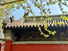 -嵩祝寺及智珠寺