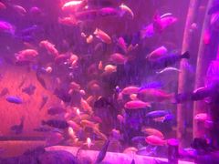 -沈阳海洋探索中心