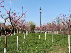 -西安汉城湖景区